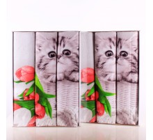 Набор вафельных полотенец Купон 50х63 см в коробке 29008-1 Тейково