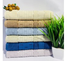 Махровое полотенце Колизей 010