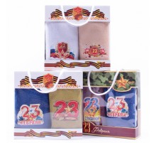 Набор полотенец из микрофибры 23В-А159 в сумочке 23 февраля МР+МР