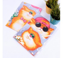 Набор вафельных полотенец Купон 50х63 см в пакете 3 штуки 29174-1 тк