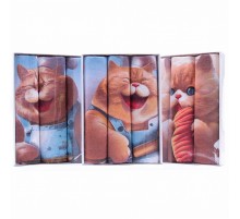 Набор вафельных полотенец Купон 50х63 см 3 штуки в коробке 13114-1 мк