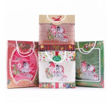 Набор махровых полотенец Новогодний щенок WR37 в коробке Л