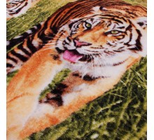 Плед велсофт ВЯ-447