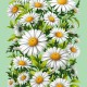 Вафельное полотенце Купон 50х63 см 29440-2 Тейково