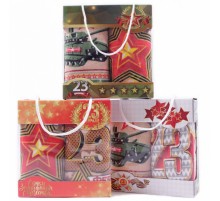 Набор полотенец из микрофибры 23005-1800 в сумочке  МР+МР