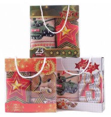 Набор полотенец из микрофибры 23005-1800 в сумочке  МР+МР