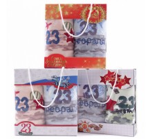 Набор полотенец из микрофибры 98-1018 в сумочке 23 февраля МР+МР