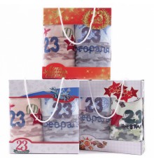 Набор полотенец из микрофибры 98-1017 в сумочке 23 февраля Р+Р