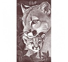 Полотенце махровое птк. жак. Мама-пума 7897