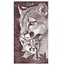 Полотенце махровое птк. жак. Мама-пума 7897