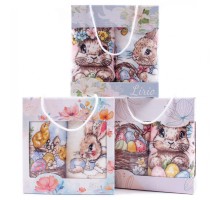 Набор полотенец микрофибра  98-1021 в сумочке МР+МР