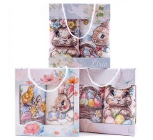 Набор полотенец микрофибра  98-1021 в сумочке МР+МР