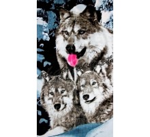 Полотенце пляжное 1615-774