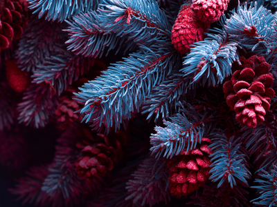 С НОВЫМ 2026 ГОДОМ!